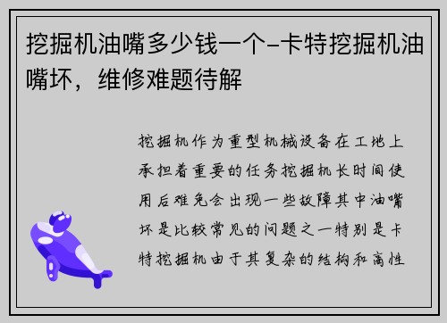 挖掘机油嘴多少钱一个-卡特挖掘机油嘴坏，维修难题待解