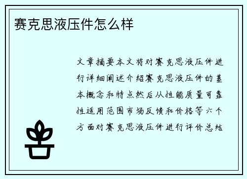 赛克思液压件怎么样