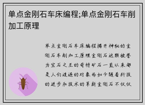 单点金刚石车床编程;单点金刚石车削加工原理